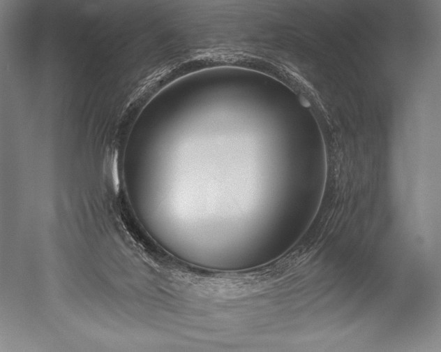 X0000052560020200507081647