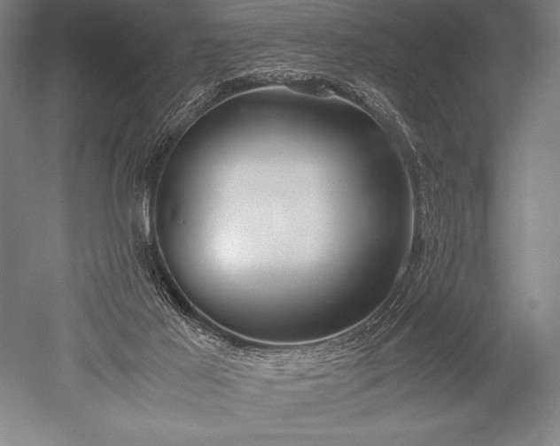X0000052560021200507081647