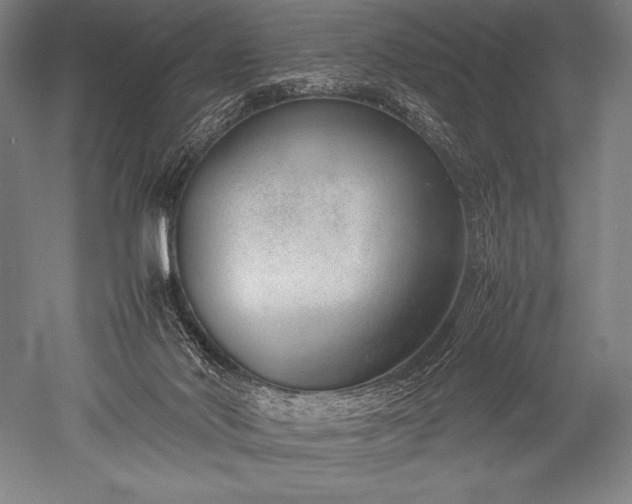 X0000052560022200507081647