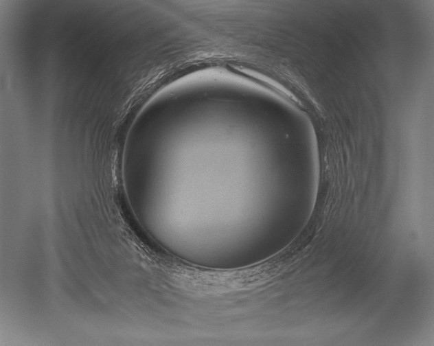 X0000052560023200507081647