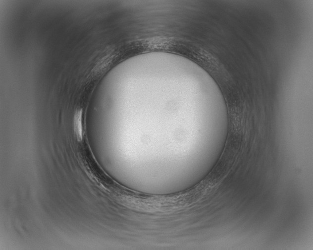 X0000052560028200507081647