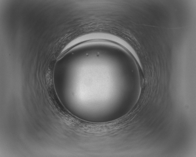 X0000052560029200507081647