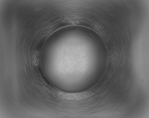 X0000052560030200507081647
