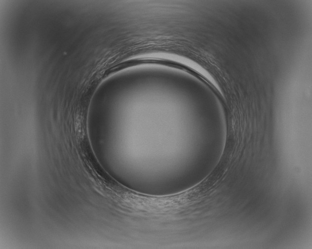 X0000052560031200507081647