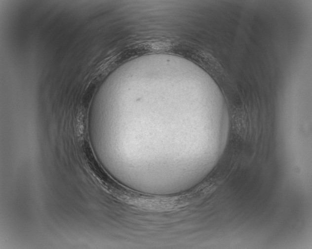 X0000052560032200507081647