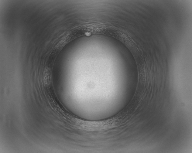 X0000052560034200507081647