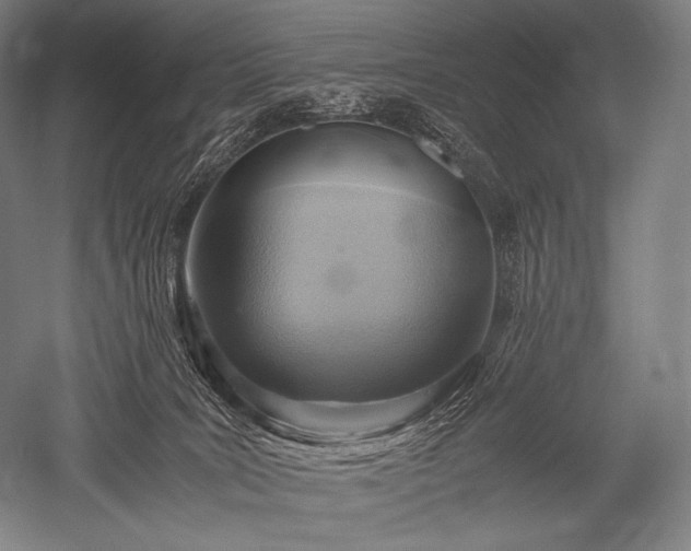 X0000052560035200507081647