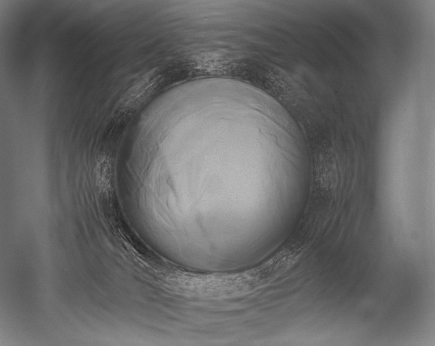X0000052560036200507081647