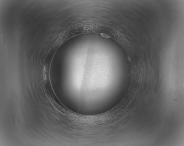 X0000052560038200507081647