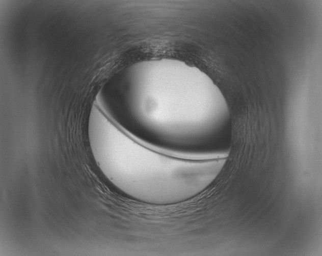 X0000052560039200507081647