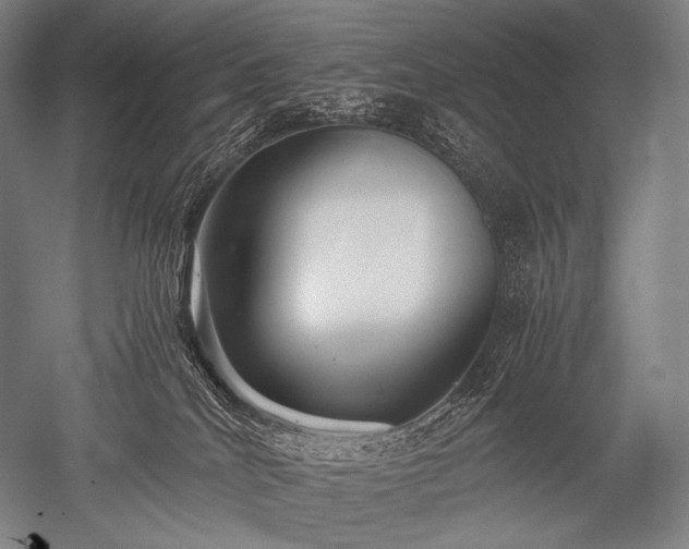 X0000052560040200507081647