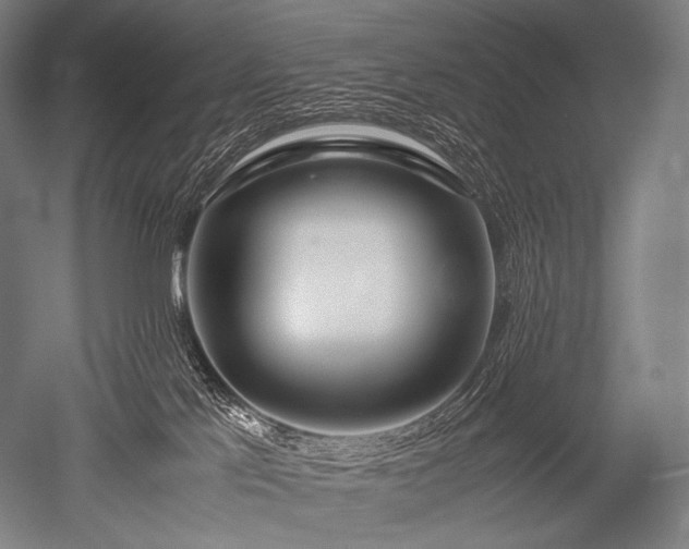 X0000052560041200507081647
