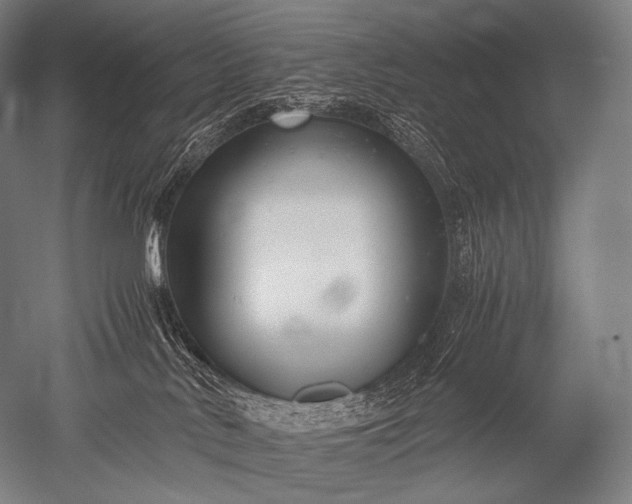 X0000052560042200507081647