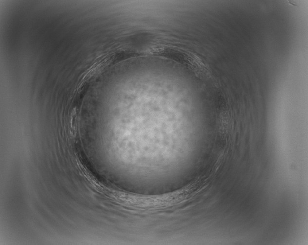 X0000052560043200507081647
