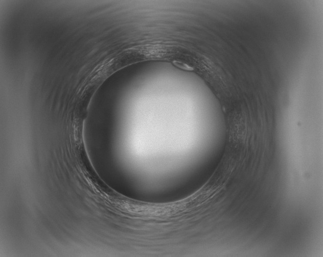 X0000052560044200507081647