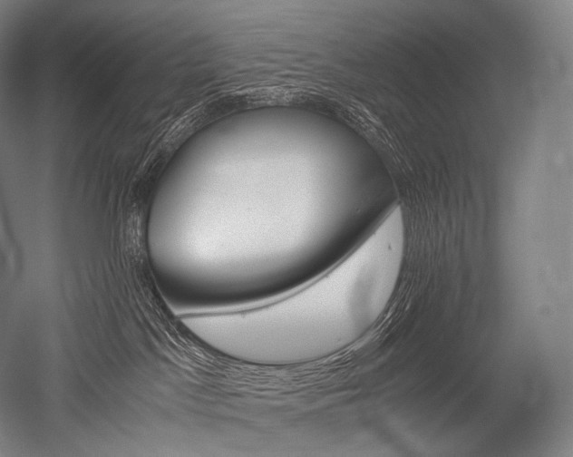 X0000052560045200507081647