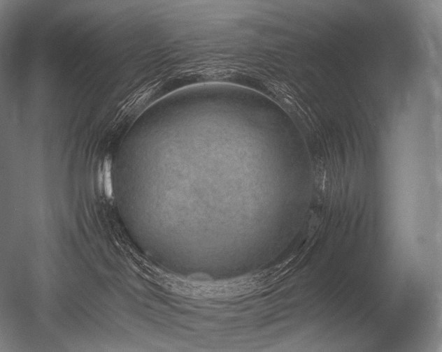 X0000052560046200507081647