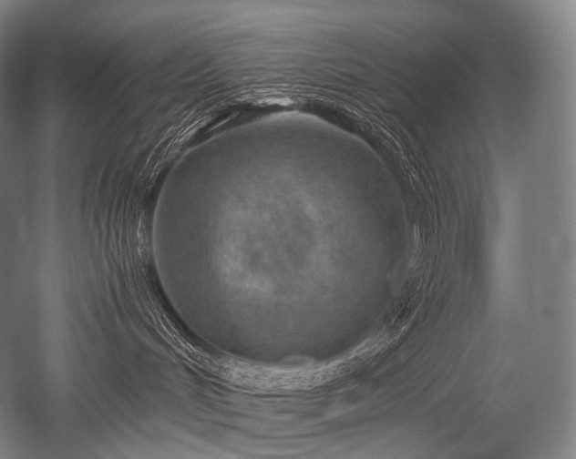 X0000052560048200507081647