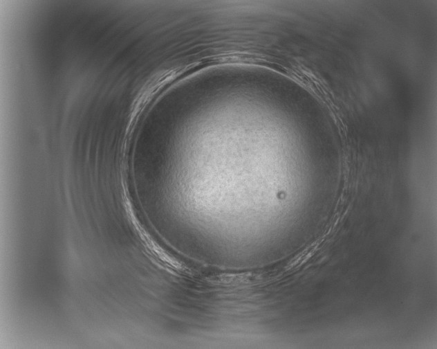X0000052560049200507081646