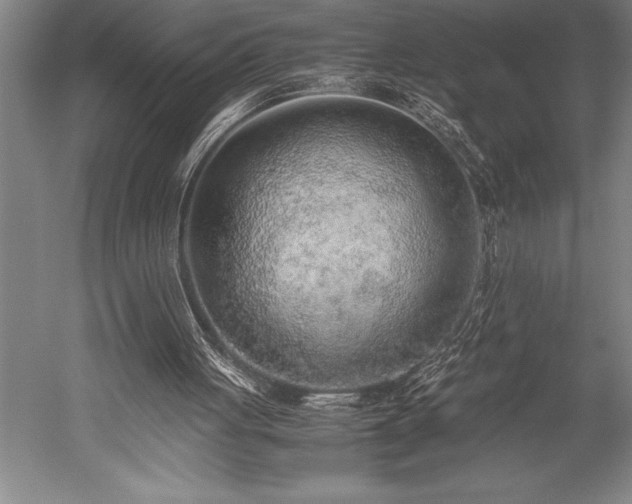 X0000052560051200507081646