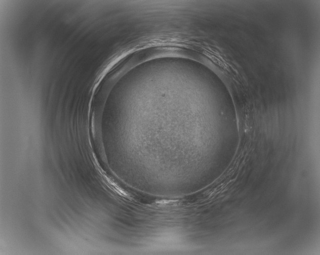 X0000052560052200507081646