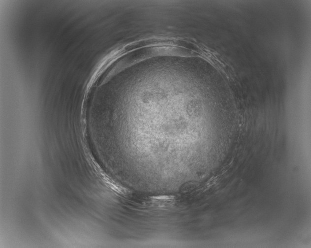 X0000052560053200507081646