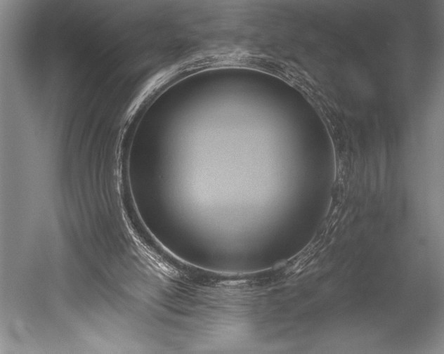 X0000052560054200507081646