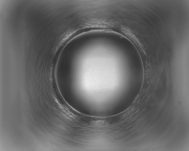 X0000052560058200507081646