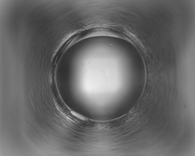 X0000052560060200507081646