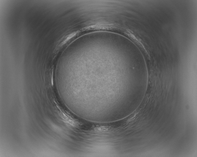 X0000052560062200507081646