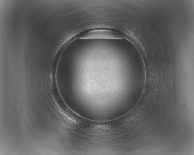 X0000052560063200507081646