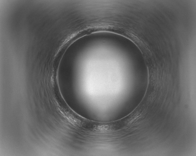 X0000052560064200507081646