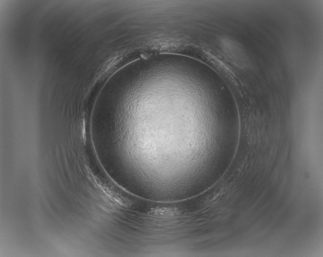 X0000052560067200507081646