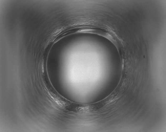 X0000052560068200507081646