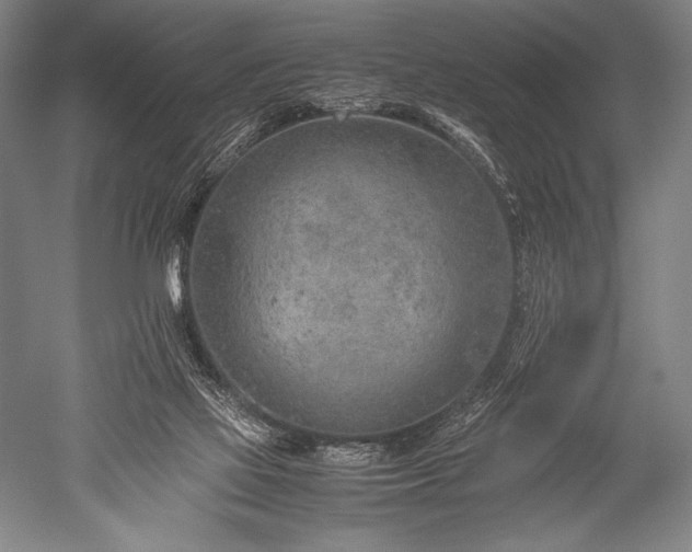 X0000052560069200507081646