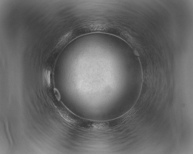 X0000052560070200507081646