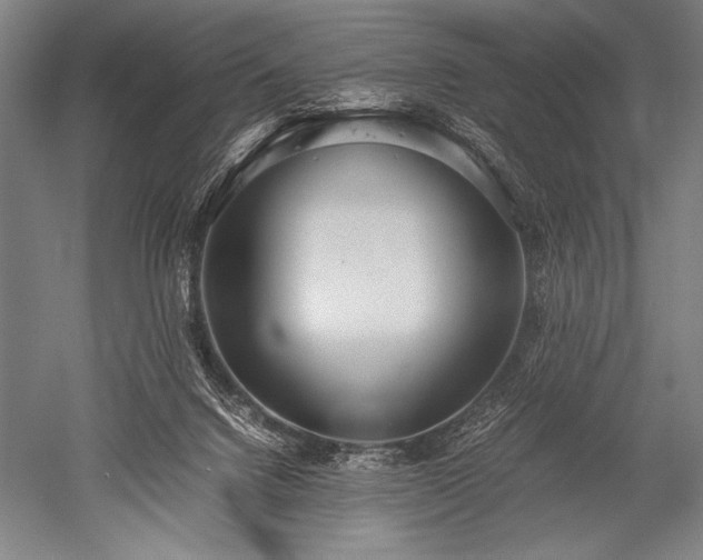 X0000052560072200507081646