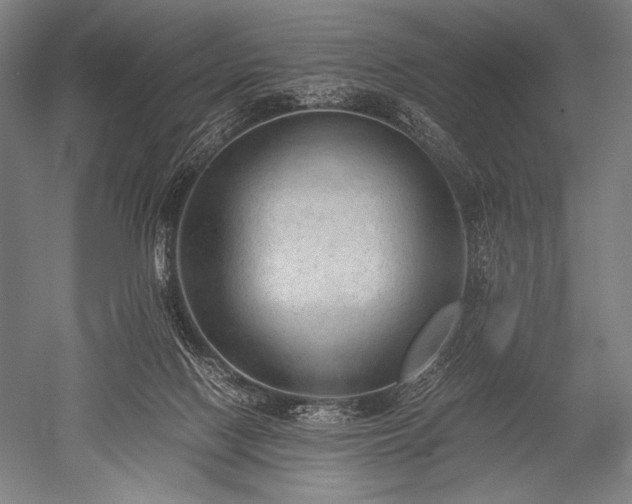 X0000052560074200507081646
