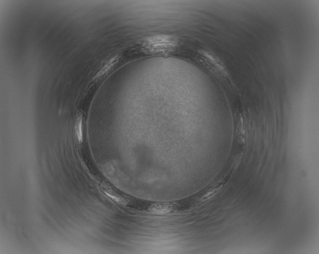 X0000052560076200507081646