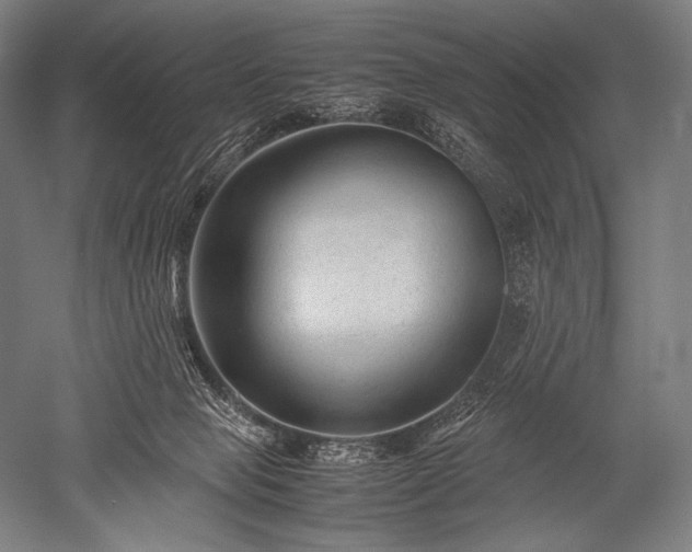 X0000052560077200507081646
