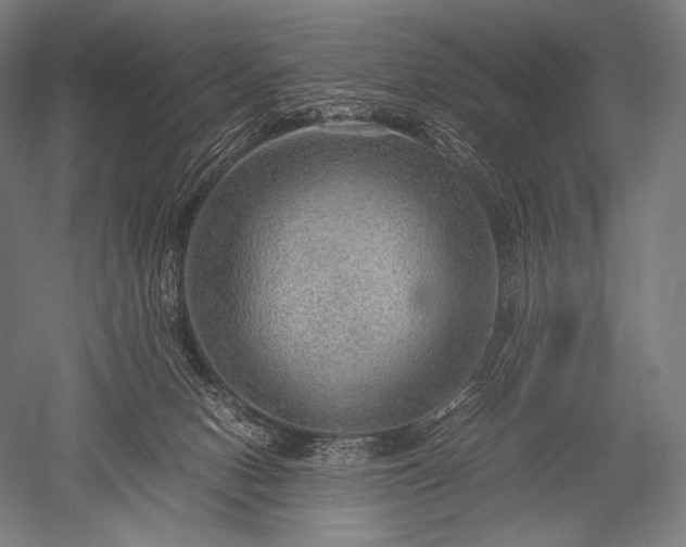 X0000052560078200507081646