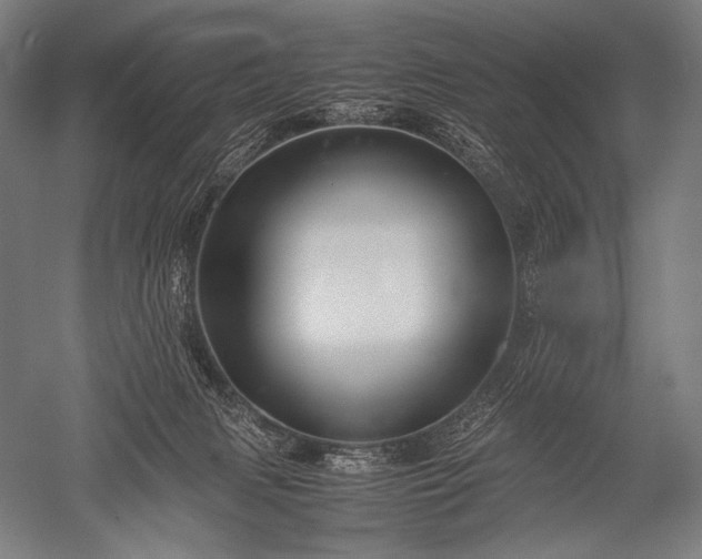 X0000052560079200507081647