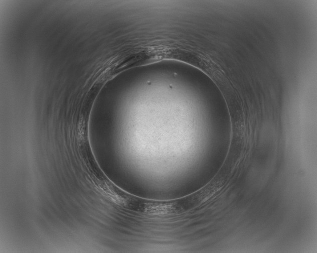 X0000052560081200507081647