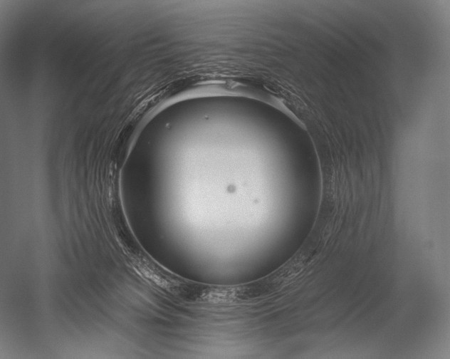 X0000052560084200507081647