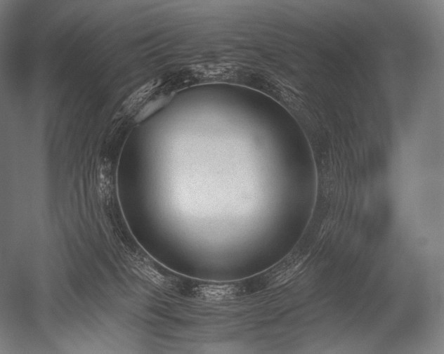 X0000052560085200507081647