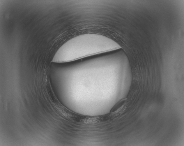 X0000052560086200507081647