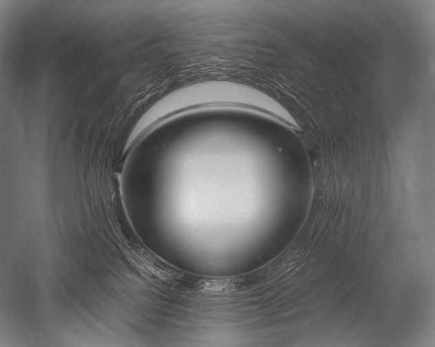 X0000052560088200507081647