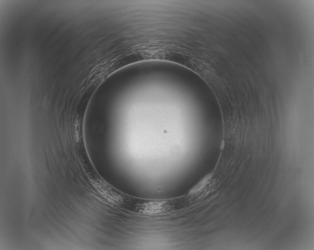 X0000052560090200507081647