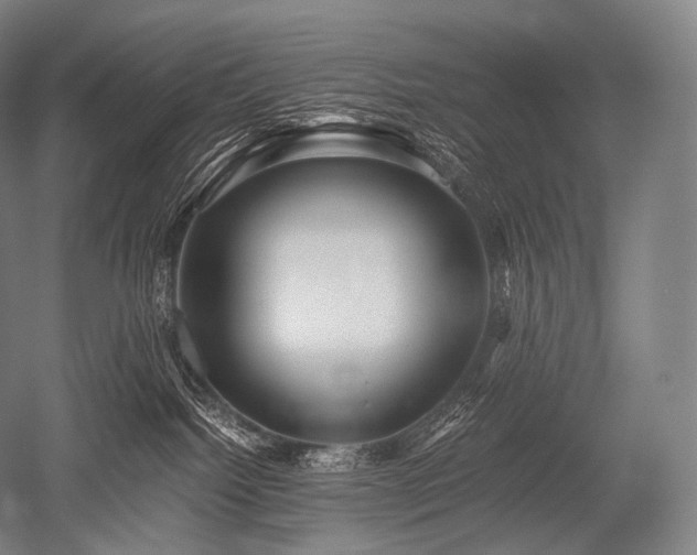 X0000052560092200507081647