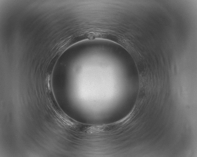 X0000052560094200507081647